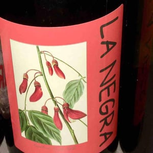 La Negra - Domaine Yoyo - laurence-manya-krief