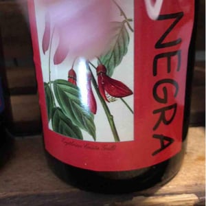 La Negra - Domaine Yoyo - Laurence Manya Krief 