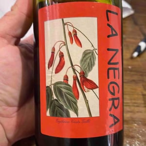 La Negra - Domaine Yoyo - laurence-manya-krief