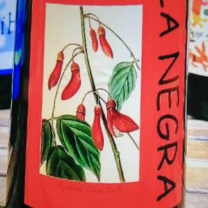Domaine Yoyo - Laurence Manya Krief - La Negra