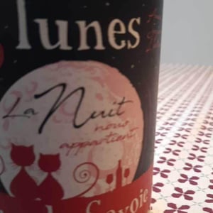 Domaine Des 13 Lunes - Sylvain Liotard & Florent da Conceição - La Nuit Nous Appartient