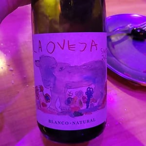 La Oveja Santa Julia 2021 - Bodega Santa Julia - ruben-ruffo-edgardo-consoli