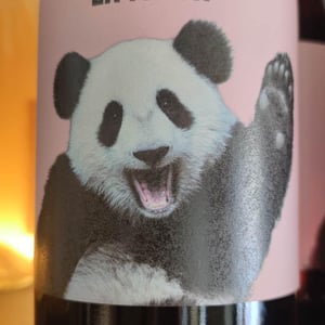 La Panda (Con Oriol Artigas) - La Natural - sara-rafa-camps -2021