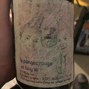 La Pangee Rouge - Lucy Margaux Vineyards - Anton Van Klopper 