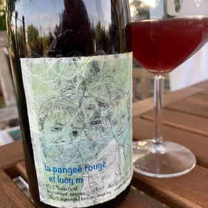 La Pangee Rouge - Lucy Margaux Vineyards - Anton Van Klopper 