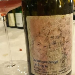 La Pangee Rouge - Lucy Margaux Vineyards - Anton Van Klopper 