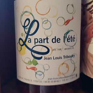 La Part de l'Été - Tribouley - jean-louis-tribouley