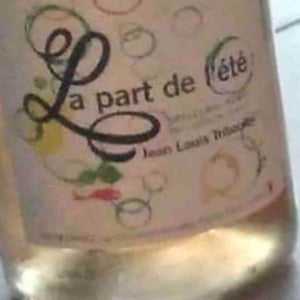 La Part de l'Été - Tribouley - jean-louis-tribouley