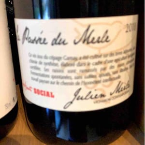 La Passée du Merle - Julien Merle - Julien Merle 