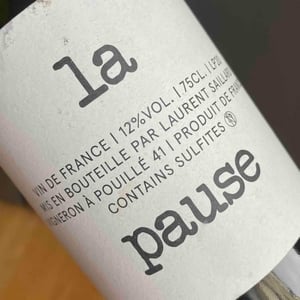 La Pause - Laurent Saillard - Laurent Saillard 