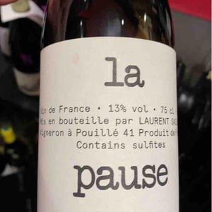 La Pause - Laurent Saillard - laurent-saillard