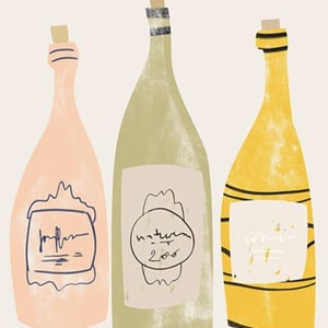 Vouvray "La Peau de L'Ours" - Domaine De La Marinière - renaud-boris-desbourdes -2022
