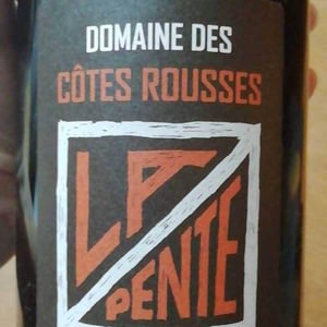 Domaine des Côtes Rousses - Marielle & Nicolas Ferrand - La Pente