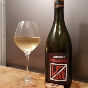 Domaine des Côtes Rousses - Marielle & Nicolas Ferrand - La Pente