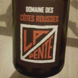 Domaine des Côtes Rousses - Marielle & Nicolas Ferrand - La Pente