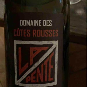 Domaine des Côtes Rousses - Marielle & Nicolas Ferrand - La Pente