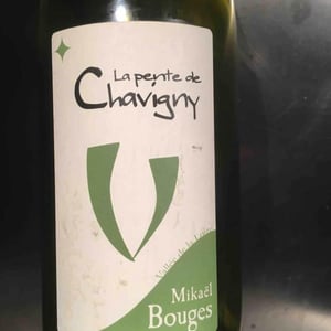 Mikaël Bouges - Mikaël Bouges - La Pente de Chavigny