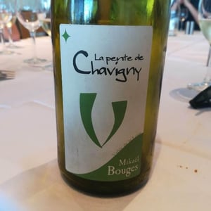 Mikaël Bouges - Mikaël Bouges - La Pente de Chavigny