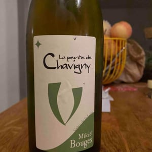La Pente de Chavigny - Mikaël Bouges - Mikaël Bouges 