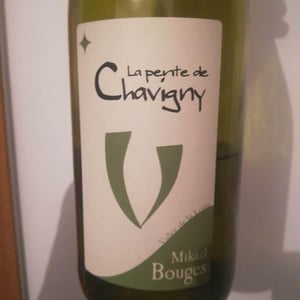 La Pente de Chavigny - Mikaël Bouges - Mikaël Bouges 