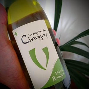 La Pente de Chavigny - Mikaël Bouges - Mikaël Bouges 