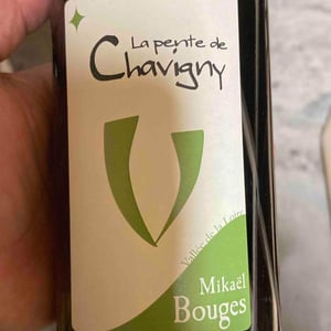 La Pente de Chavigny - Mikaël Bouges - mikael-bouges