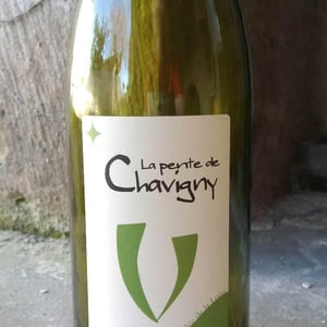 Mikaël Bouges - Mikaël Bouges - La Pente de Chavigny