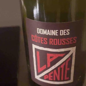 Domaine des Côtes Rousses - Marielle & Nicolas Ferrand - La Pente