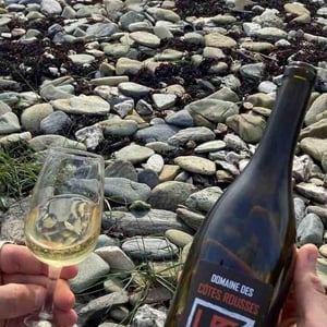 Domaine des Côtes Rousses - Marielle & Nicolas Ferrand - La Pente