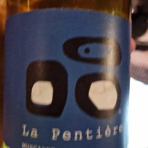 La Pentière - Le Clos des Treilles - Nicolas Reau 