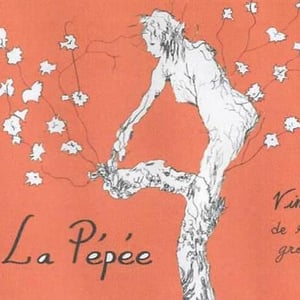 La Pépée - Vignes De L'Atrie (CLOSED) - Elise Hamant (CLOSED) 