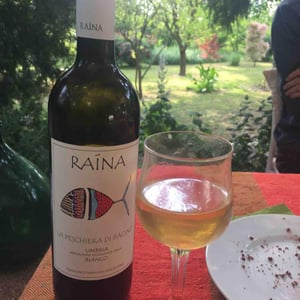 Raína - Francesco Mariani - La Peschiera Di Pacino