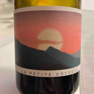 La petite odyssée - La Petite Odyssée - Antoine Bernardin -2021