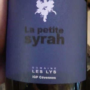 La Petite Syrah - Domaine Les Lys - marie-helene-veyrunes-thomas-faure