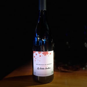 La Petite Verdière - Domaine de la Petite Verdière - Vincent Boyer 
