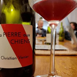 Christian Venier - Christian Venier - La Pierre aux Chiens