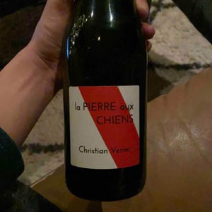 Christian Venier - Christian Venier - La Pierre aux Chiens
