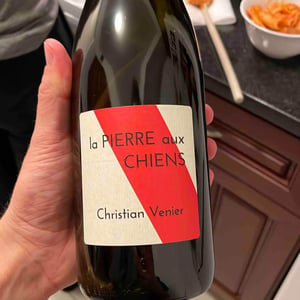 Christian Venier - Christian Venier - La Pierre aux Chiens