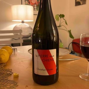 Christian Venier - Christian Venier - La Pierre aux Chiens