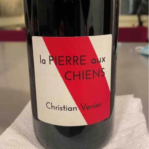 La Pierre aux Chiens - Christian Venier - Christian Venier 