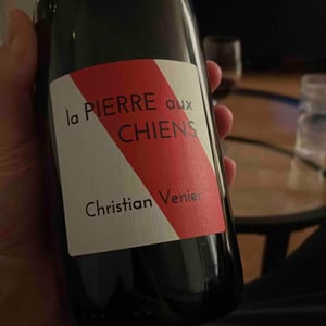 La Pierre aux Chiens - Christian Venier - Christian Venier 