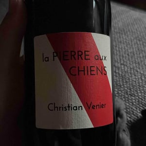 La Pierre aux Chiens - Christian Venier - Christian Venier 