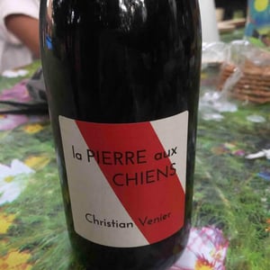 Christian Venier - Christian Venier - La Pierre aux Chiens