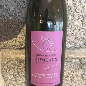 La Pierre aux Fées - Domaine des Jumeaux - maryline-jean-marc-tard