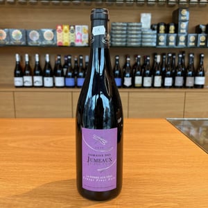 La Pierre aux Fées - Domaine des Jumeaux - maryline-jean-marc-tard