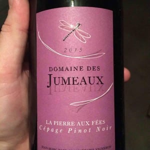La Pierre aux Fées - Domaine des Jumeaux - maryline-jean-marc-tard