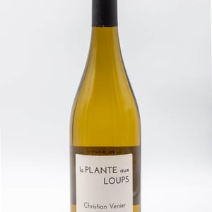 La Plante Aux Loups - Christian Venier - christian-venier