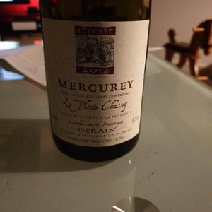 La Plante Chassey - Domaine Derain - Julien Altaber & Carole Shwab, Domique Derain 