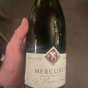La Plante Chassey - Domaine Derain - Julien Altaber & Carole Shwab, Domique Derain 