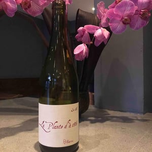 Domaine Henri Naudin-Ferrand - Claire Naudin - La Plante d'à Côté
